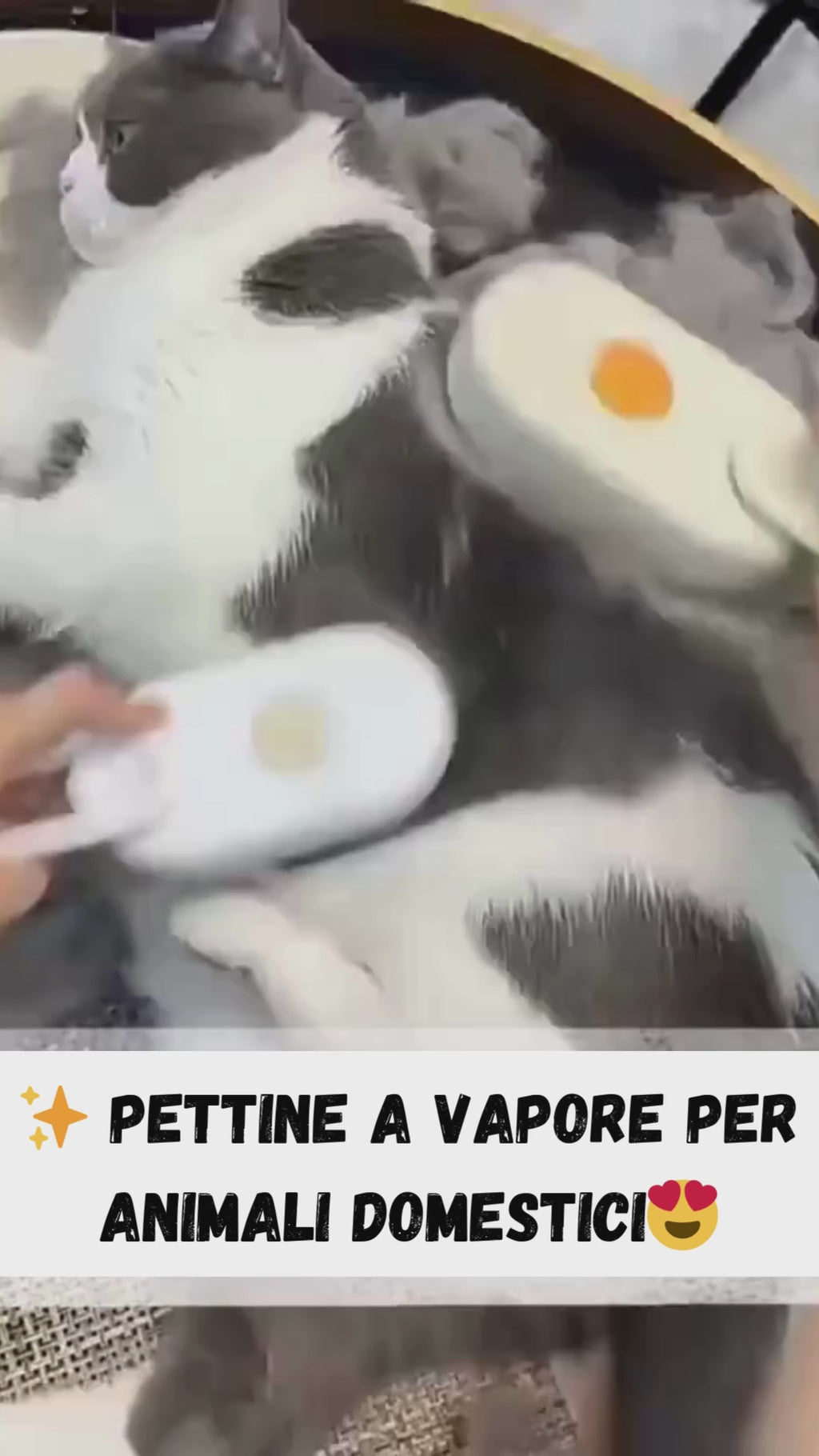 Spazzola per Cane e Gatti